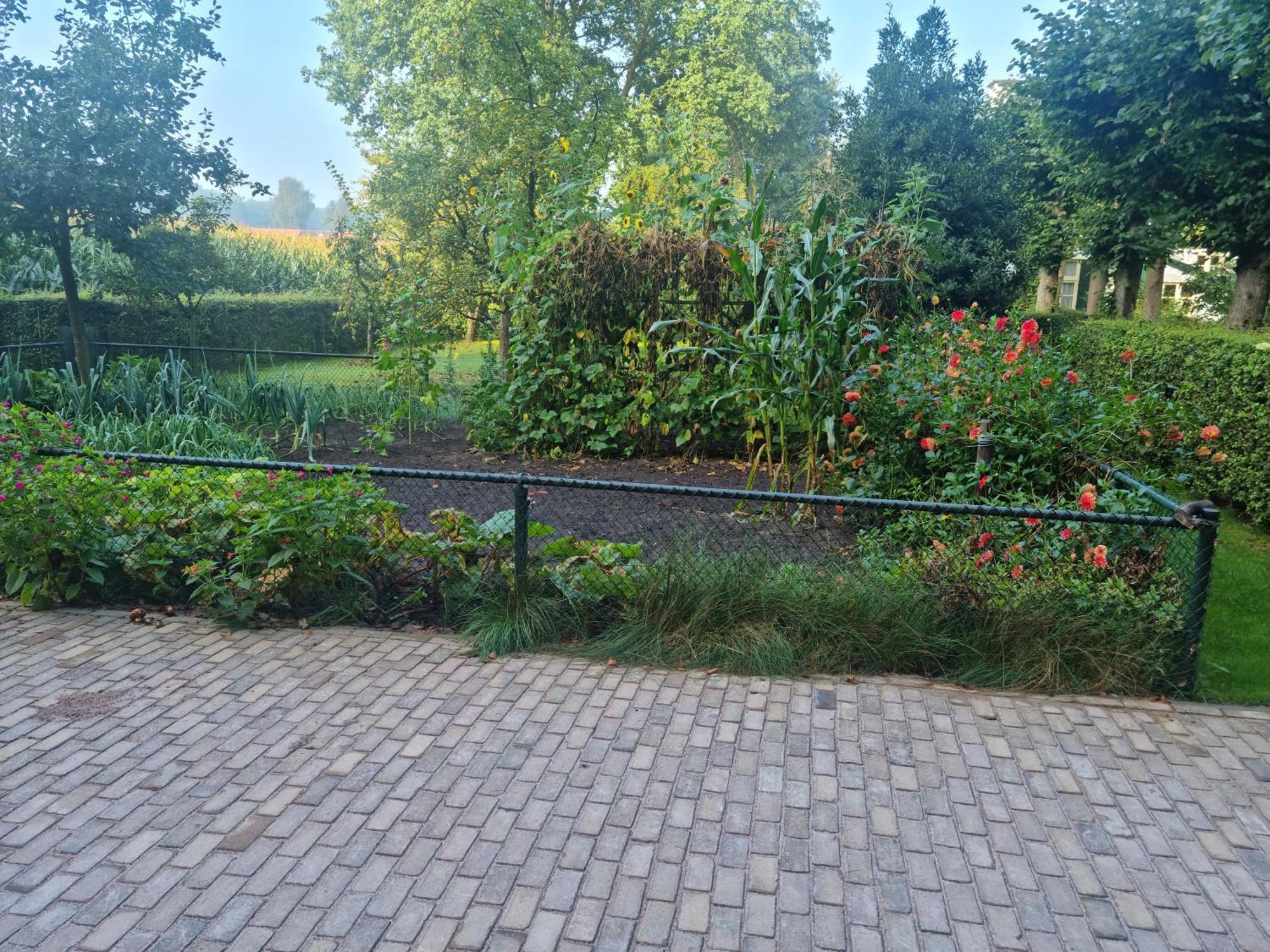 Harskamp Vakantiehuis En Appartement De Harscamp מראה חיצוני תמונה